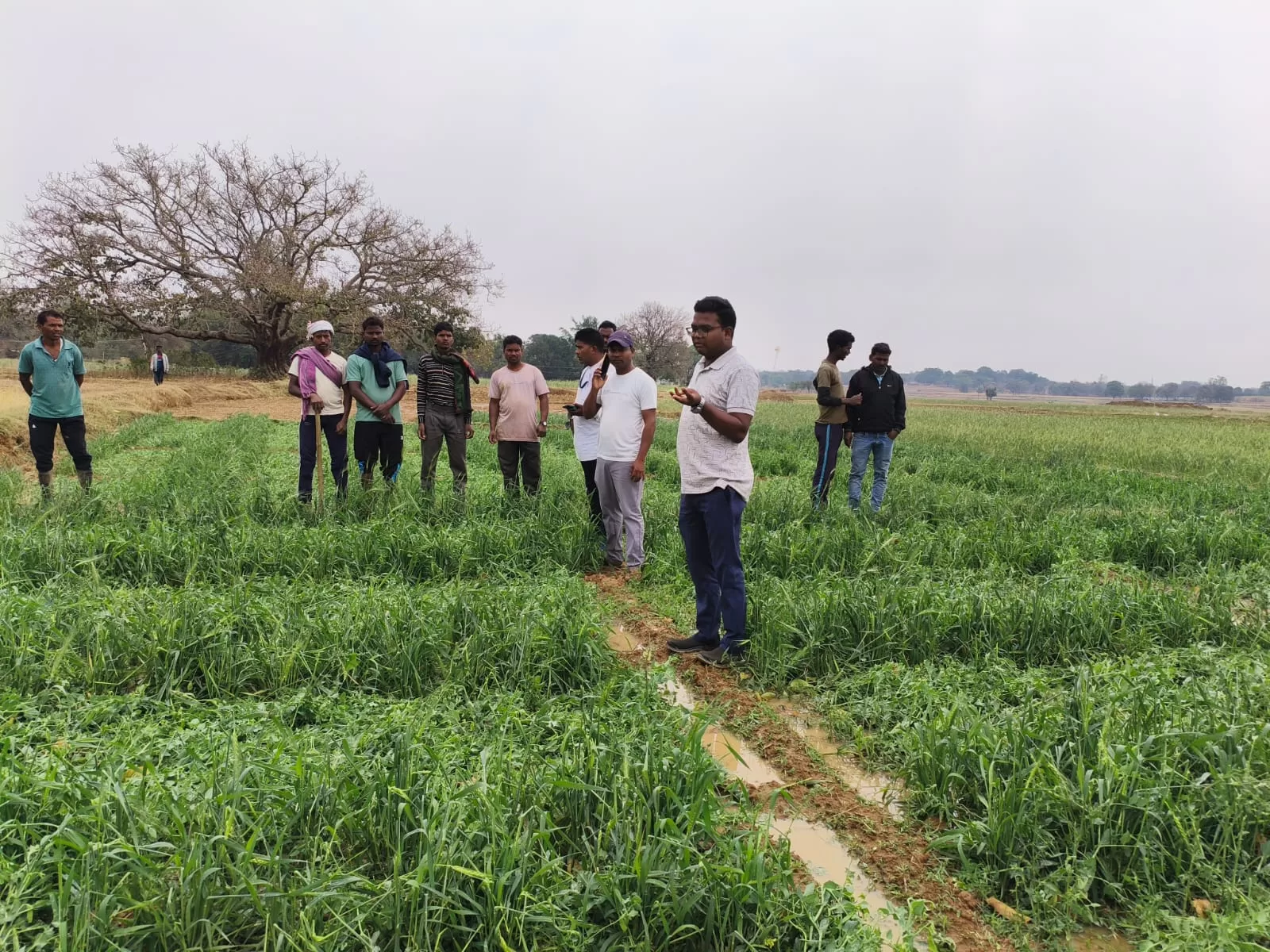 Agriculture Minister directed to assess crop damage and provide compensation due to hailstorm in Jharkhand