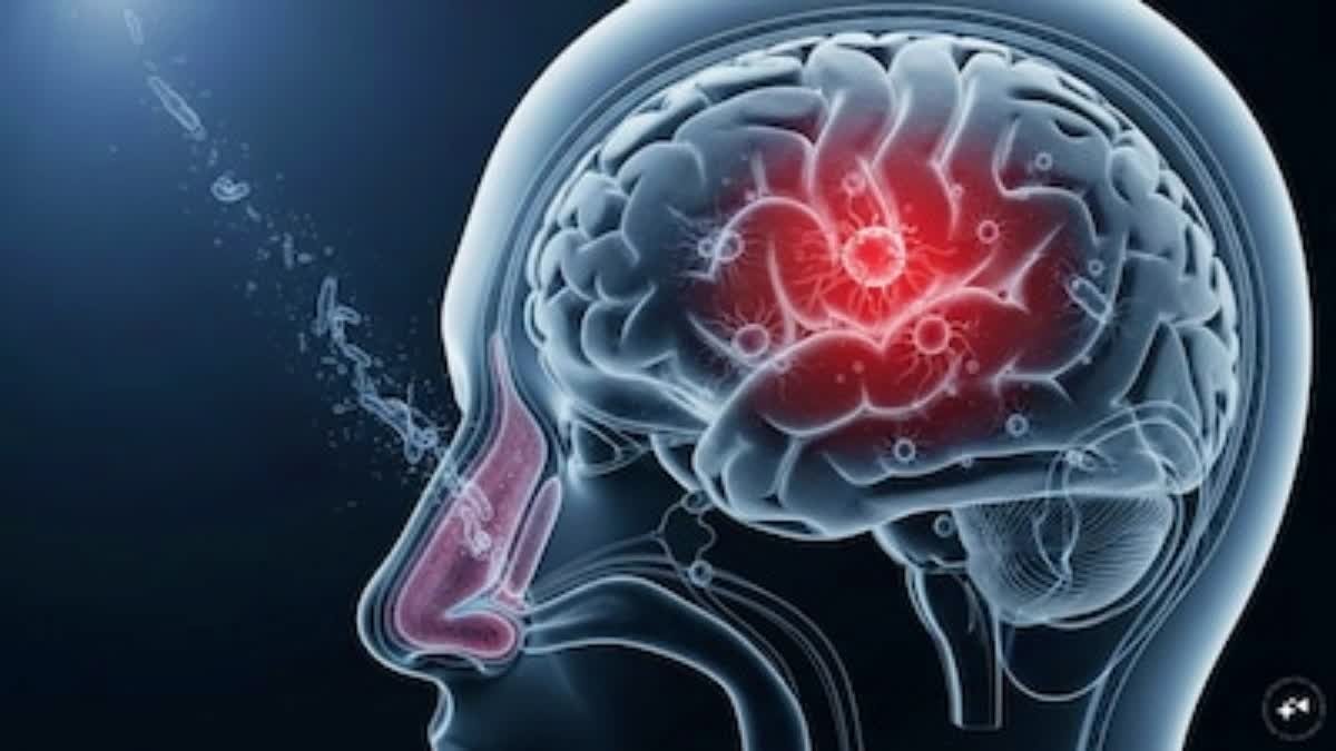 What are the causes, symptoms, and home remedies for nervine or nerveweakness?