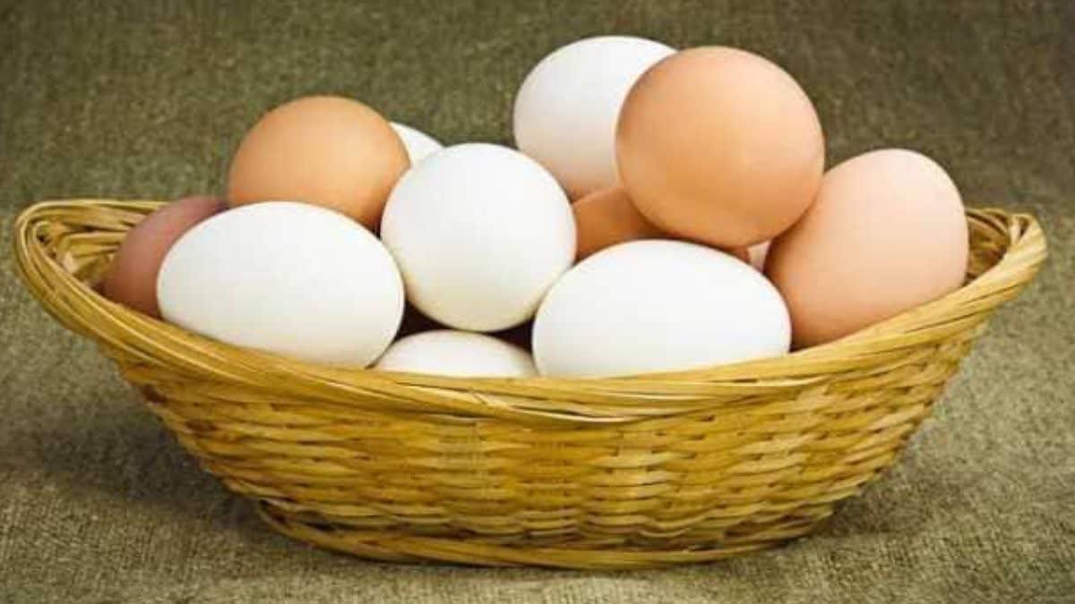 Does eating eggs really increase cholesterol? Find out how many eggs you should eat daily.