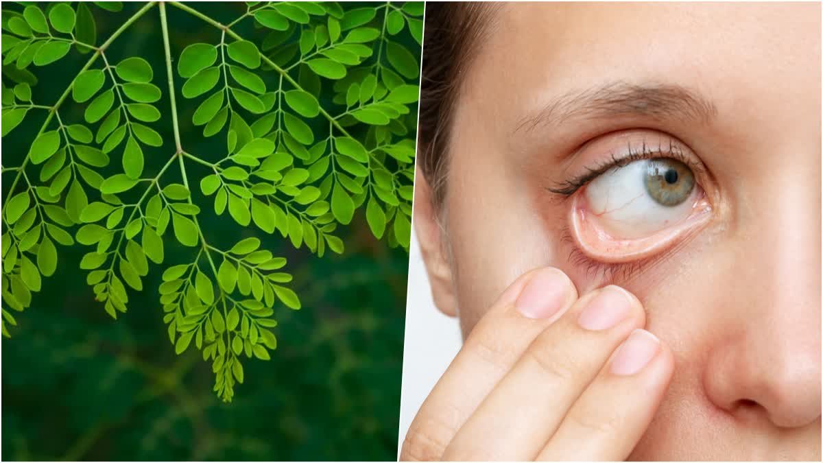 blood count increase naturally without supplements? Learn what to eat to prevent anemia.