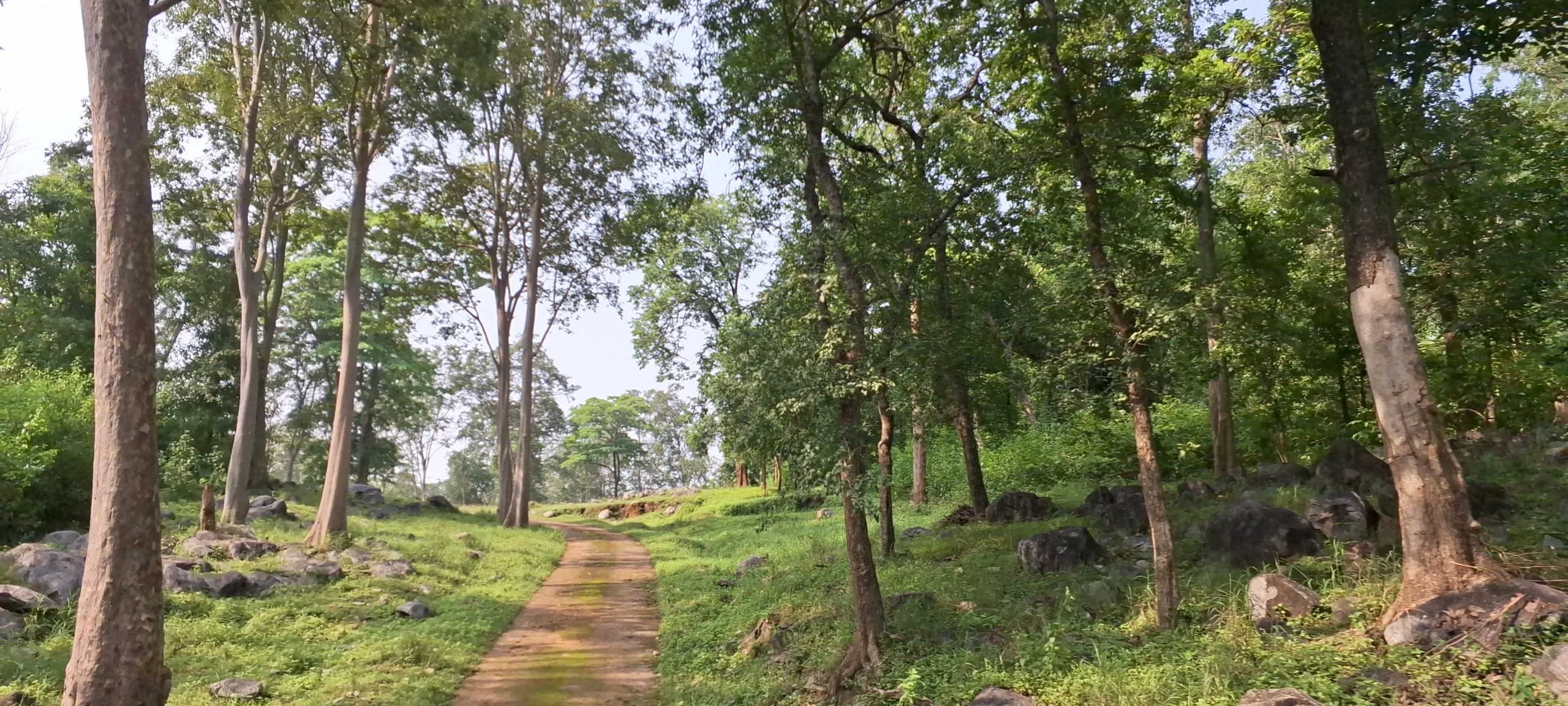 FOREST DEPARTMENT UNIQUE INITIATIVE