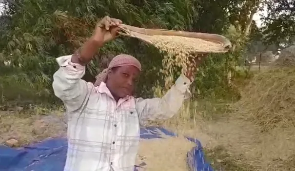 Paddy Procurement In Jharkhand