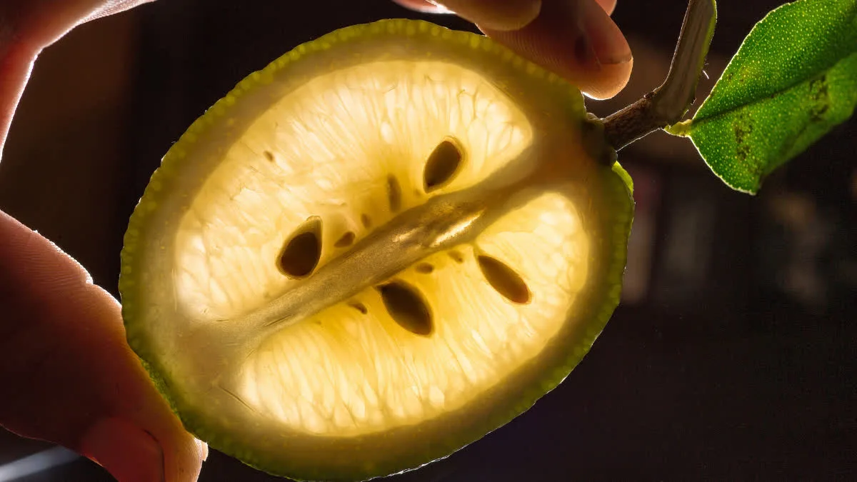 Try this easy trick to keep lemons fresh for a long time; they won't spoil for several weeks.