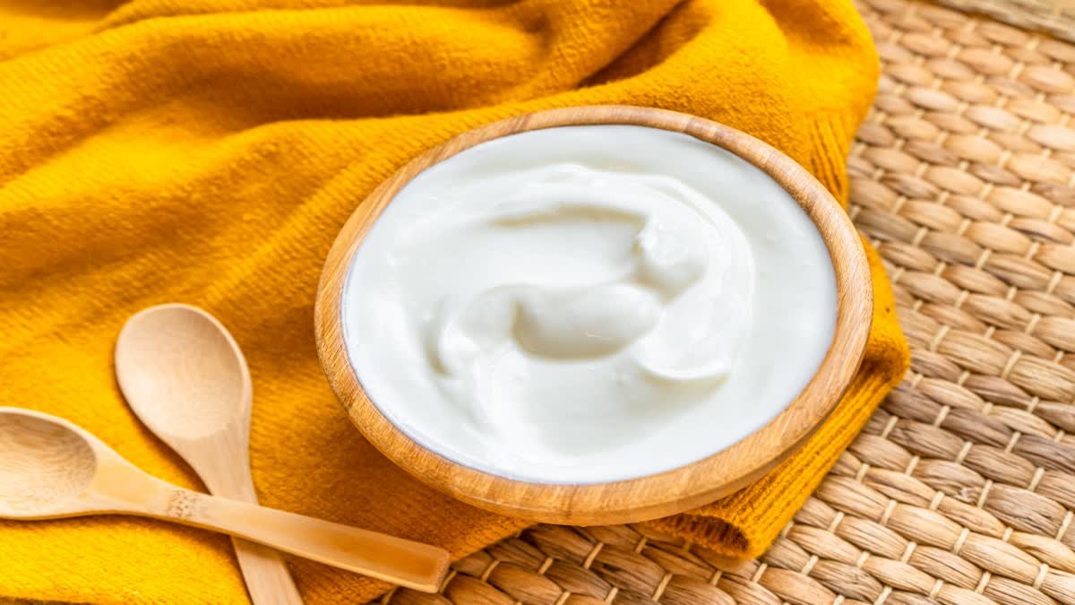 If you follow this trick, the curd will neither be sour nor thin in any season.