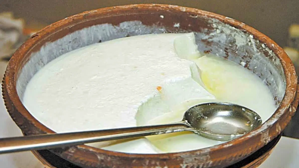 If you follow this trick, the curd will neither be sour nor thin in any season.