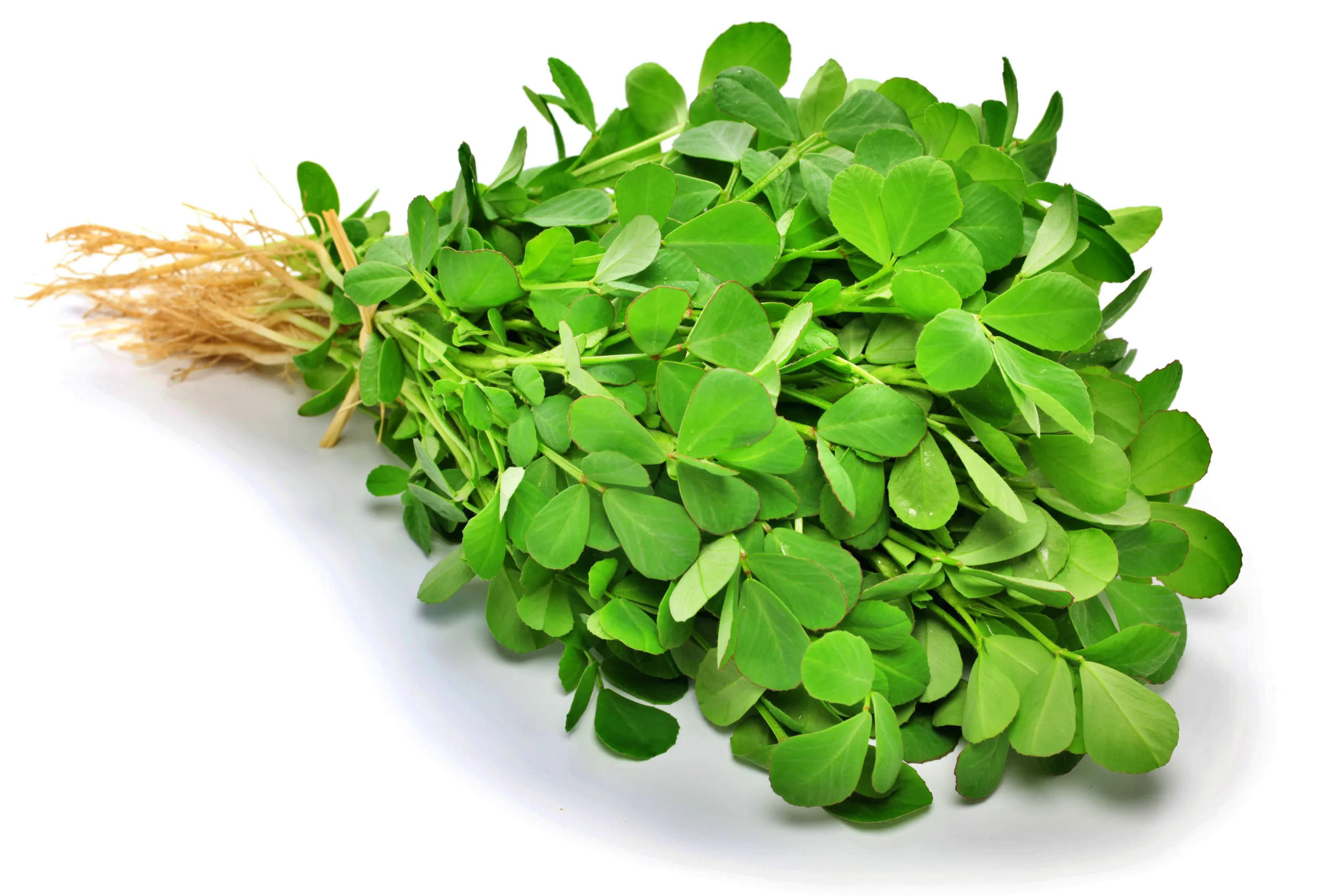 Learn about the benefits of these 5 leafy green vegetables; you'll start eating them from today!