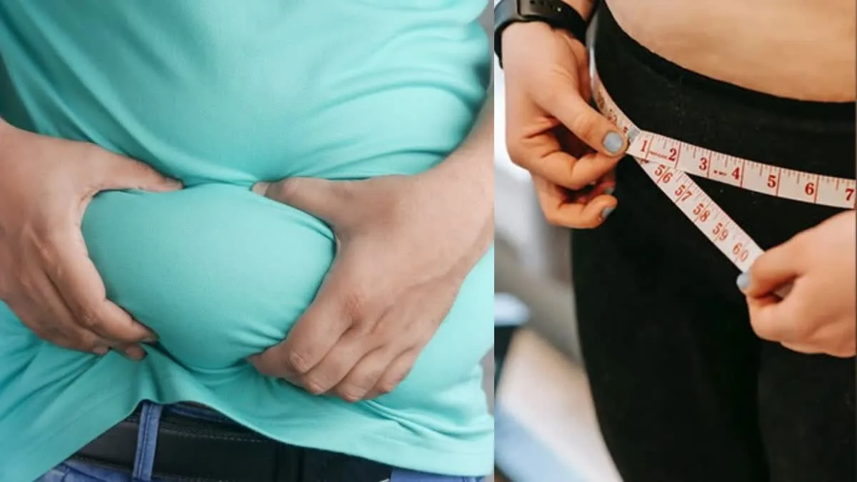 Obesity should be recognised as a disease in India, know the expert's opinion