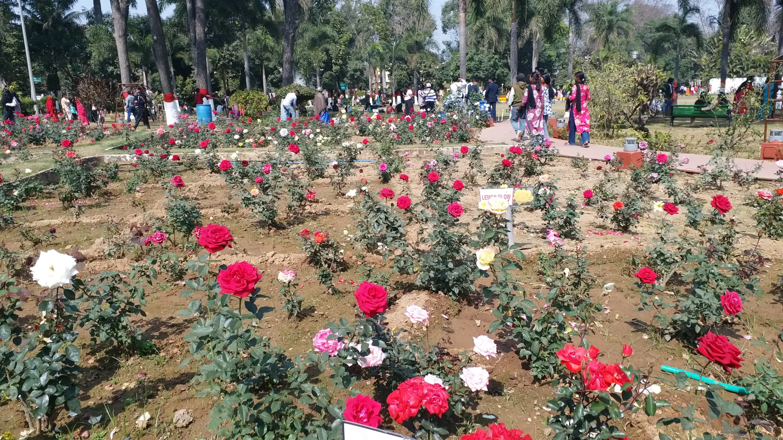 Lok Bhavan Garden in Ranchi