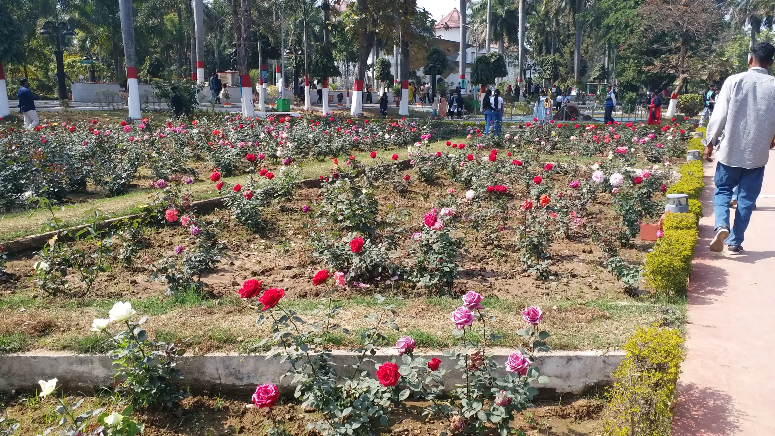 Lok Bhavan Garden in Ranchi