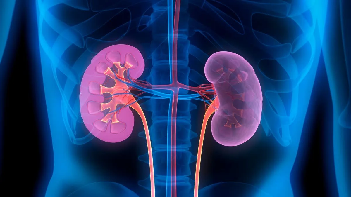Kidney disease is a silent killer find out who should get their kidneys checked.