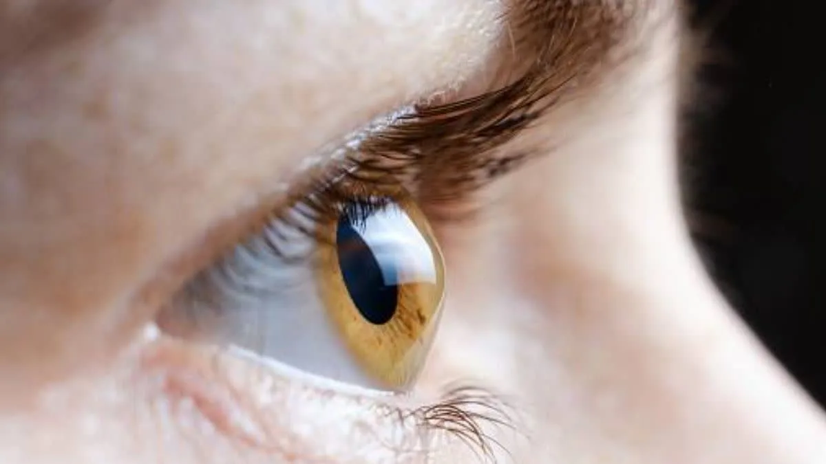 Eye cancer is extremely dangerous; consult a doctor to learn about its early symptoms and treatment