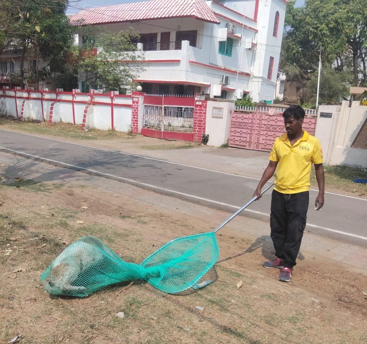 Dog bite cases in Ranchi