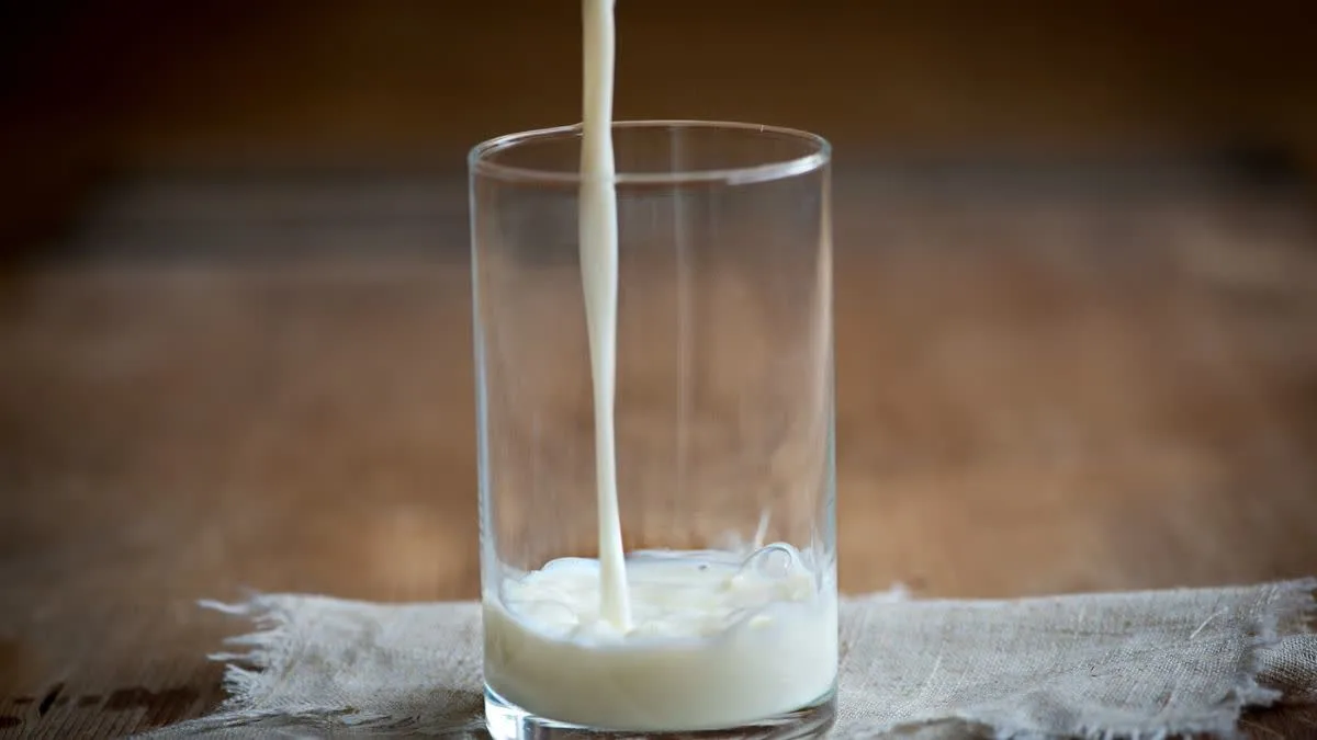 Does drinking milk raise cholesterol levels? How can Full-Fat Milk increase the risk of heart attack?
