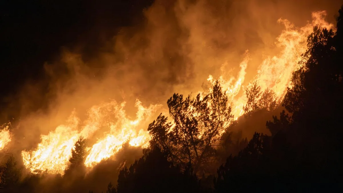 जंगल की आग वैश्विक प्रदूषण का एक बड़ा कारण