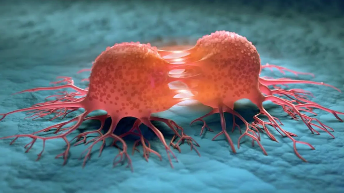 Calcium Carbide Completely Banned for Fruit Ripening; FSSAI Issues Warning These Body Parts Could Be Damaged.