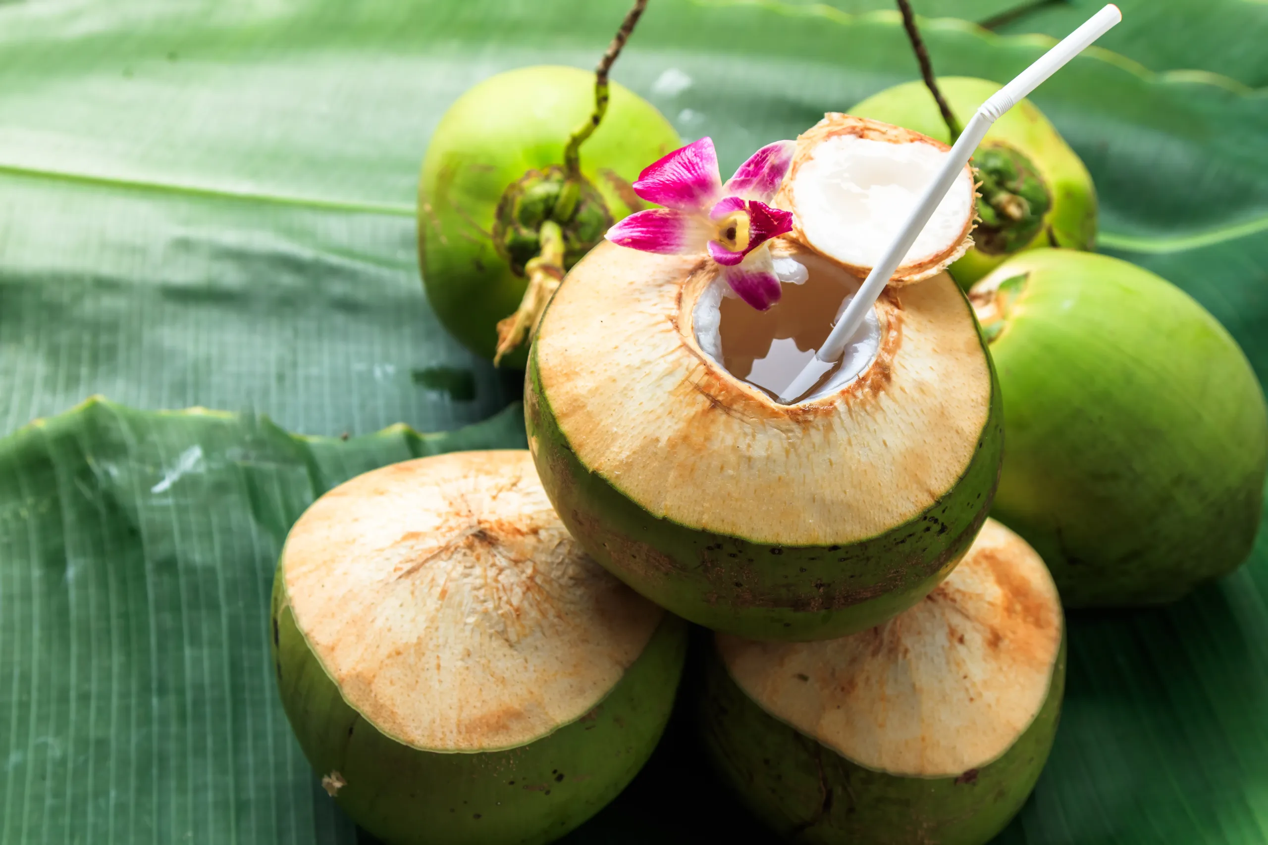 The trick has been found, use it to determine whether a coconut has little or a lot of water.