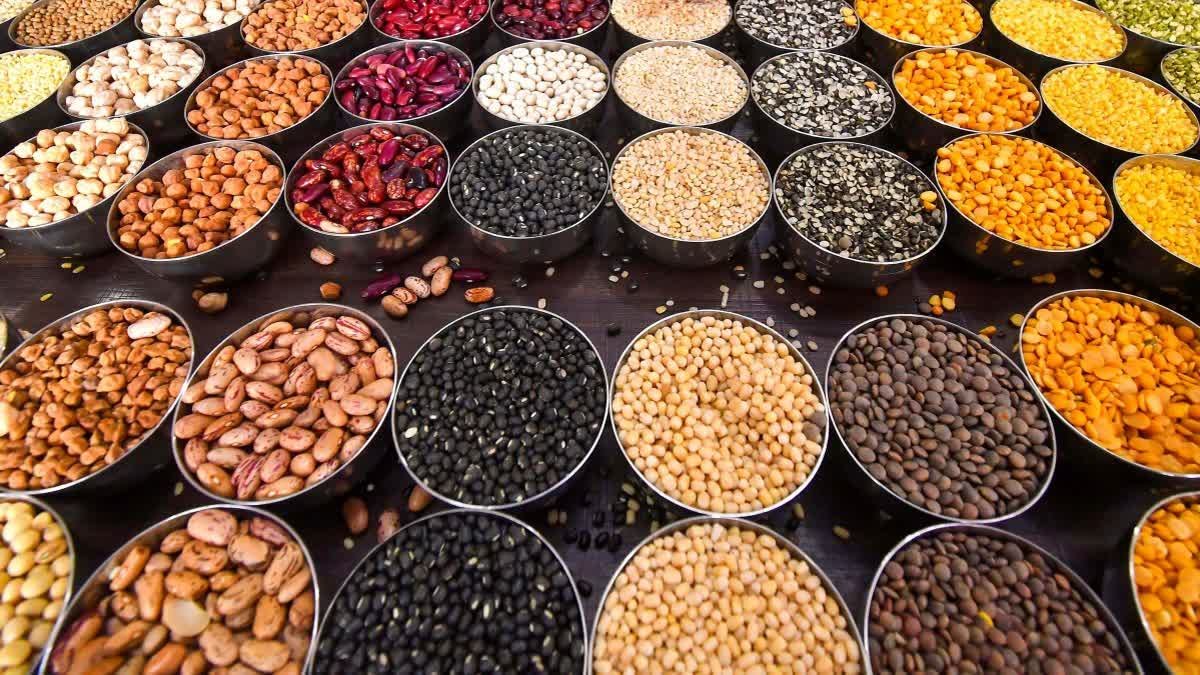 Arhar, Moong, Chana, Masoor, and Kulthi, which of these lentils contains the highest amount of protein? Find out from the experts.