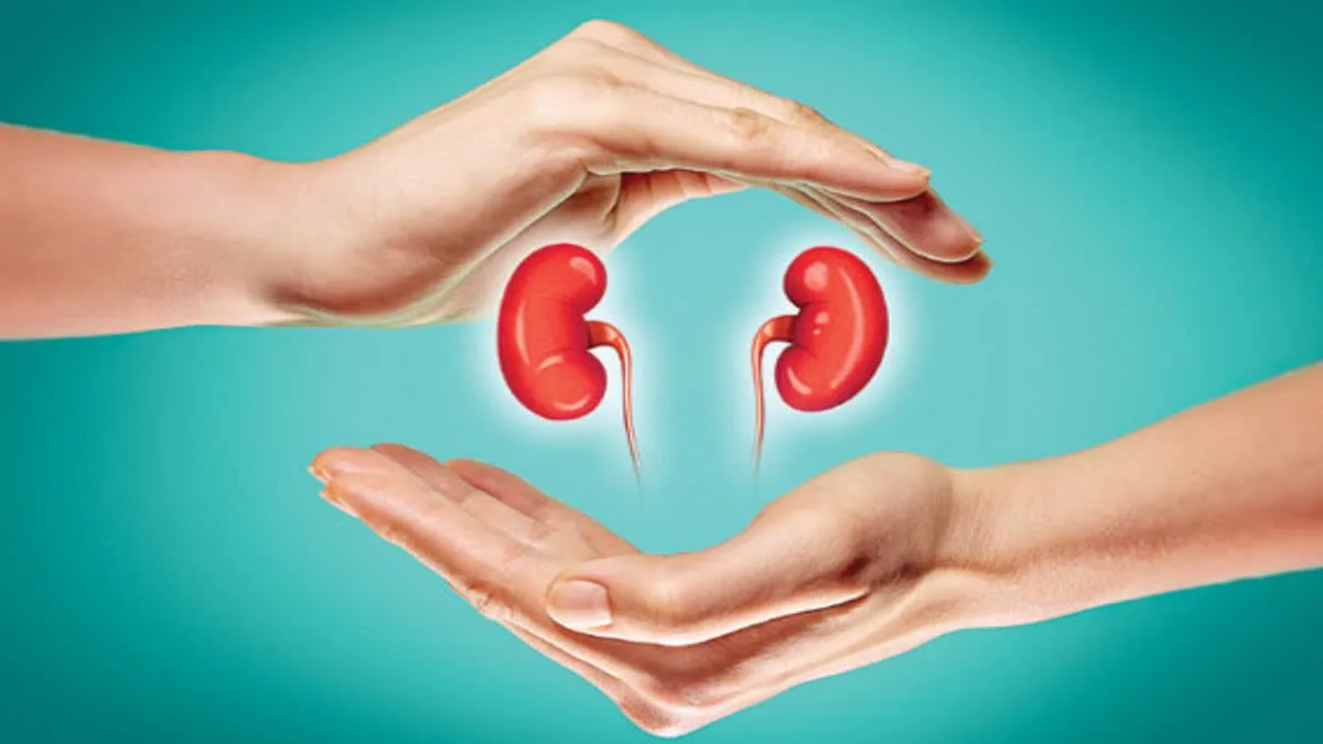 Kidney Disease to Become the Fifth Leading Cause of Death by 2040, Reveals 'The Lancet' Research