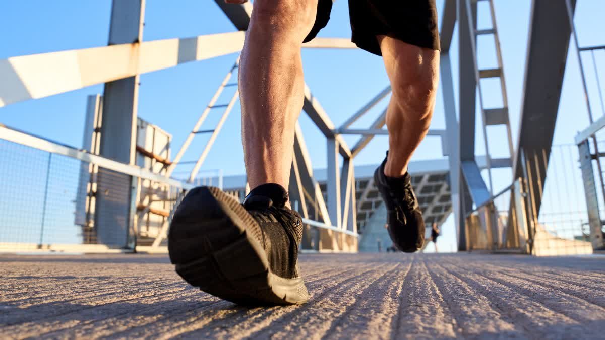 How many steps does it take to sharpen the mind? Discover the benefits of regular walking.