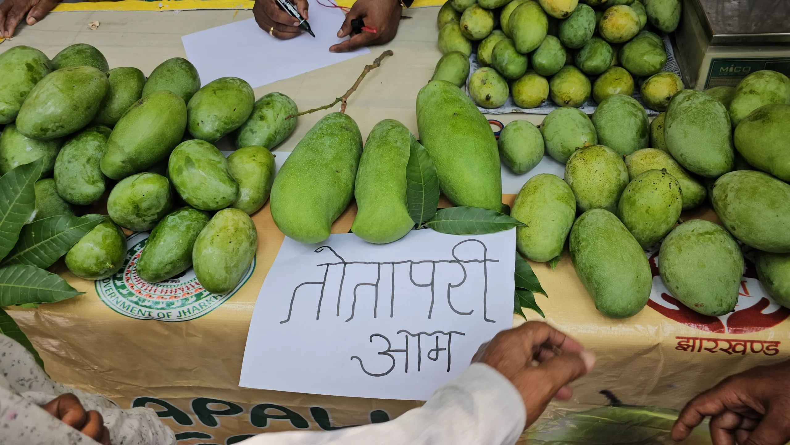 Mango festival organised in Hazaribag