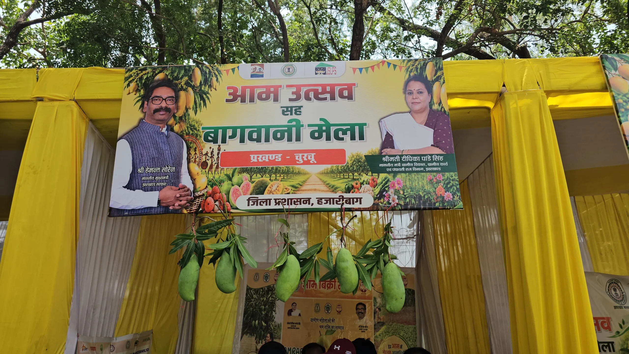 Mango festival organised in Hazaribag
