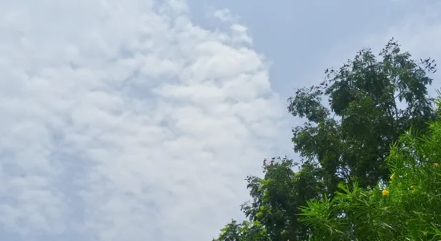 Monsoon weakens in Jharkhand